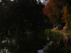 -荔湾湖公园