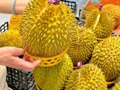 -大商麦凯乐(大连总店)