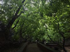 -苍岩山风景名胜区