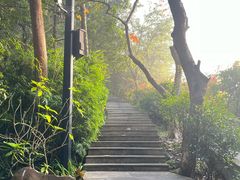 -广州市白云山风景名胜区