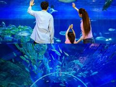 -华夏文旅海洋公园