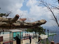 -塔云山