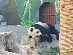 -南昌动物园