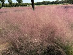 -汉长安城未央宫国家考古遗址公园