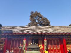 -西安市广仁寺