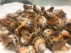 -大东海海鲜酒楼(渔人码头总店)