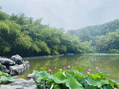 -河南省黄河迎宾馆