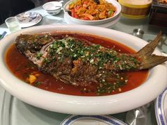 -老雒阳面馆·水席(洛宁高速路口店)