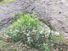 -皖西大裂谷
