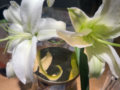 -四季餐厅(华苑店)