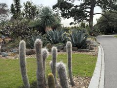 -墨尔本皇家植物园