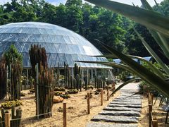 -深圳仙湖植物园-停车场