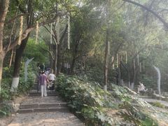 -云龙山
