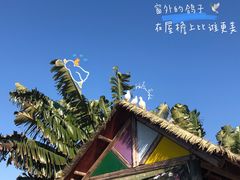 -亚龙湾国际玫瑰谷