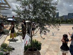 -喜茶(珠海华发商都店)