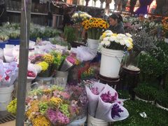 -秦美花卉(天朗·莱茵小城2期店)