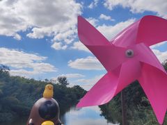 -黄海国家森林公园