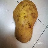 土豆恐饭