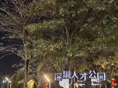 -深圳人才公园
