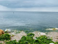 -海岛日记(养马岛店)