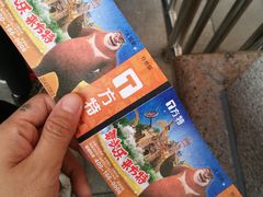 -青岛方特梦幻王国