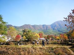 -塔川景区