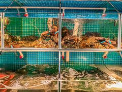 水产区-船奇蒸汽海鲜·闽菜(八市海鲜总店)
