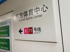 -东方体育中心(地铁站)