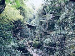 -藏龙百瀑风景区