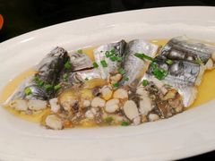 墨鱼蛋蒸鲥鱼-高佳庄·舟山海鲜(海景旗舰店)