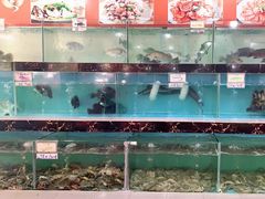 -源海渔村·现捞海鲜(大角湾店)