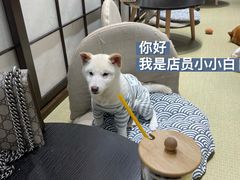 -逗柴咖啡屋·狗咖猫咖宠物桌游
