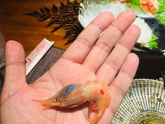 -一本料理(西溪天街店)