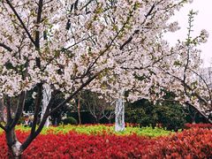 -UNIUNI(凯瑟琳广场店)