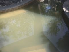 -楼观道温泉酒店