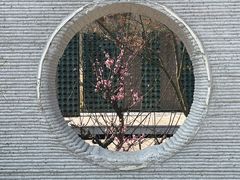 -苏州上方山国家森林公园