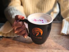 -D STAR COFFEE帝星咖啡