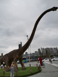 -恐龙探索乐园(磁器口店)