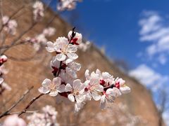 -蟠龙山长城景区