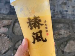 多肉杨枝甘露-椿风·养身茶饮(吉大店)