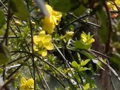 -杭州花家山庄