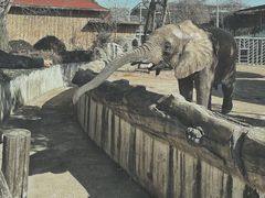 -常州淹城野生动物世界
