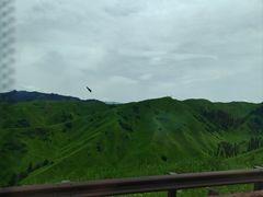 -新疆那拉提国家旅游度假区