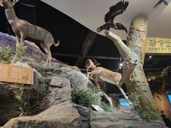 -陕西自然博物馆