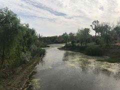 -上海长兴岛郊野公园