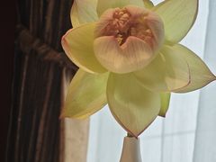 -马旺子酒楼