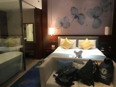 -常州环球恐龙城维景国际大酒店