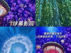 -海合安武汉极地海洋公园