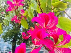 -中国移动南方基地