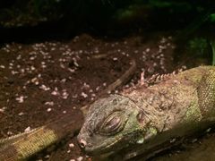 -多彩贵州城极地海洋世界